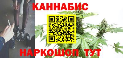 сатива Абакан