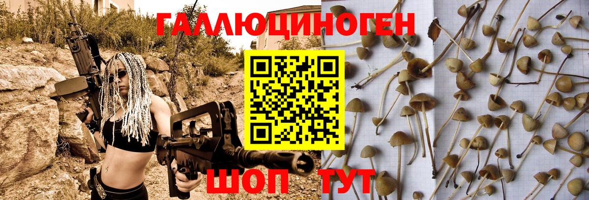 Амурск  Галлюциногенные грибы Cubensis  Вход с VPN 