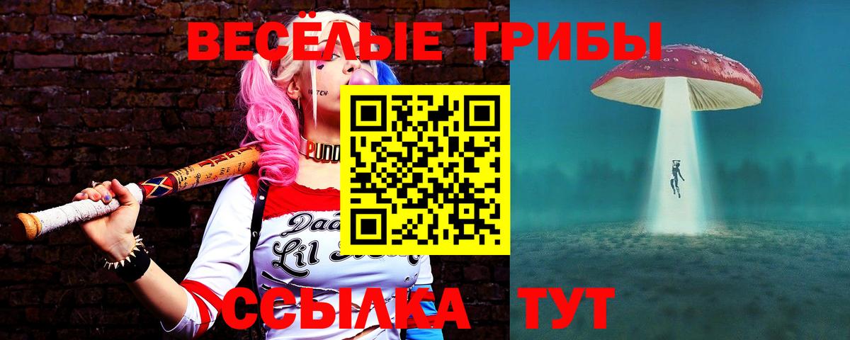 Галлюциногенные грибы мицелий Амурск